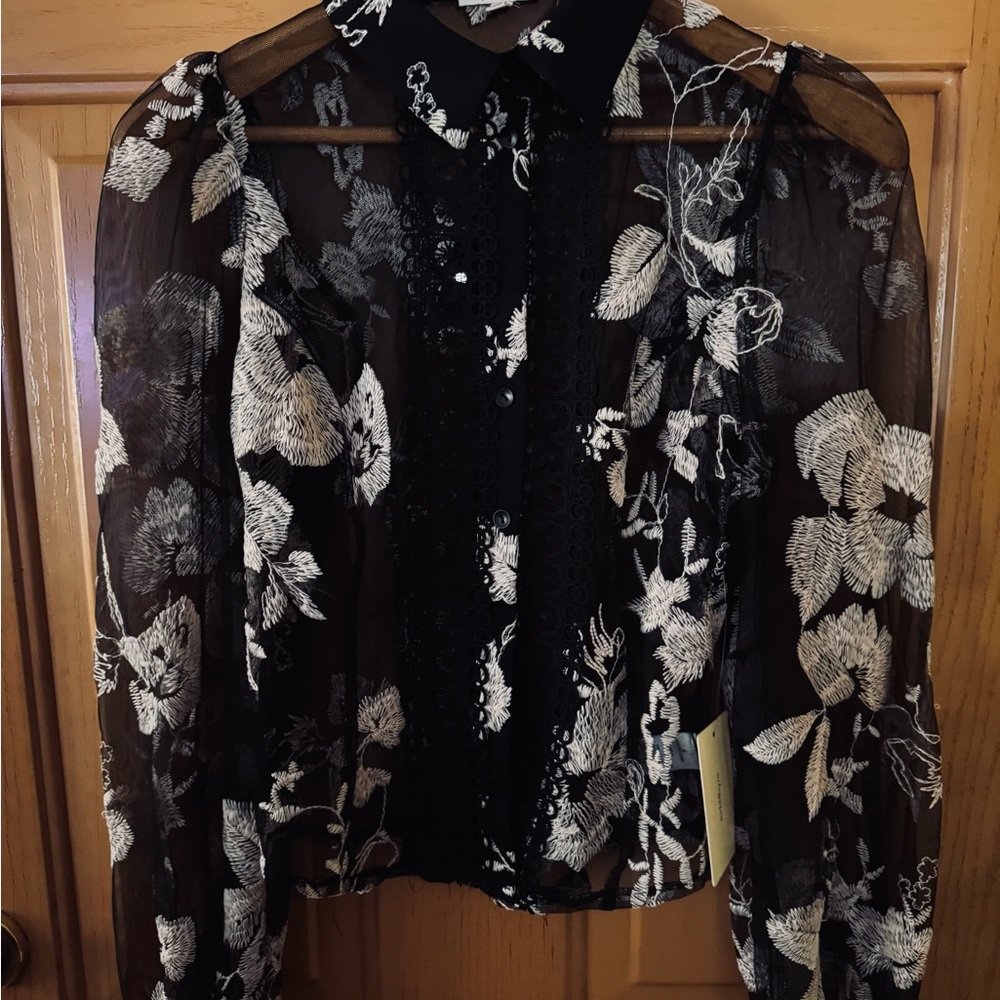 Beautiful Sheer Sexy Shirt NWT